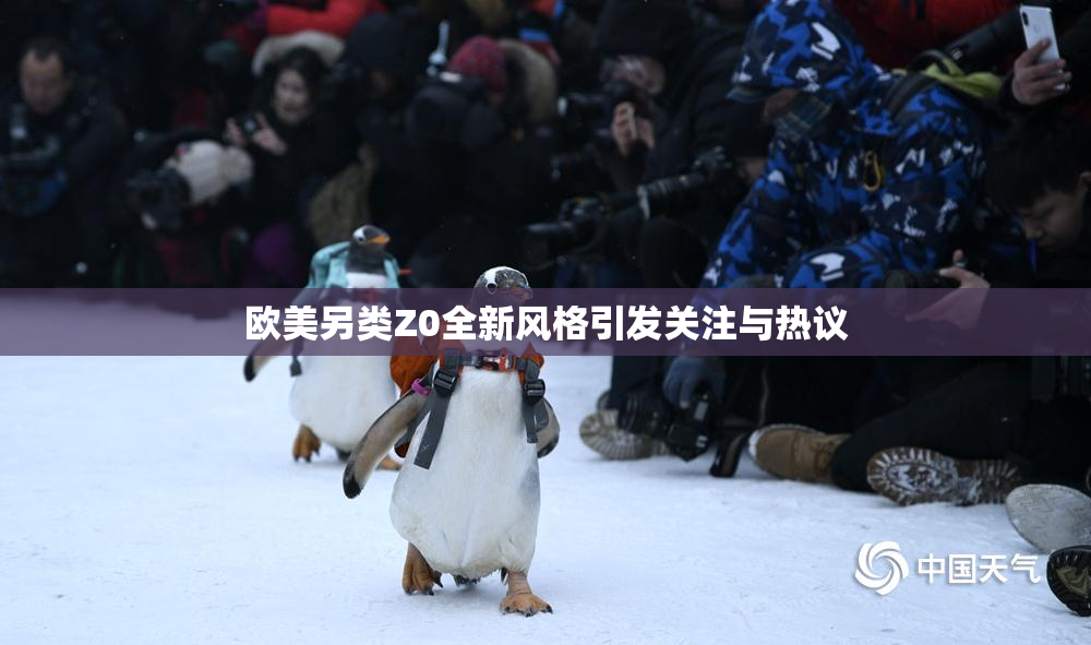 欧美另类Z0全新风格引发关注与热议