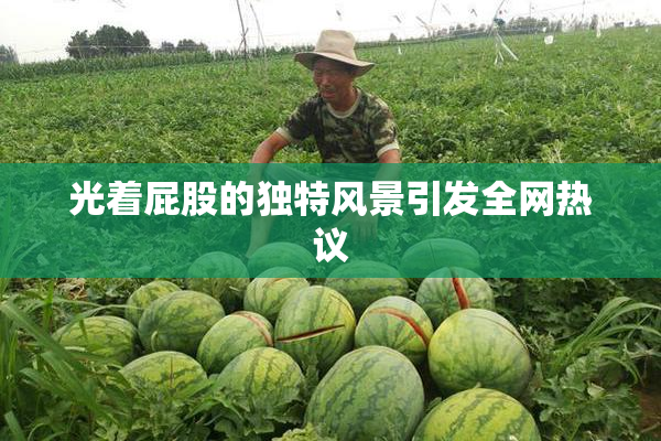光着屁股的独特风景引发全网热议