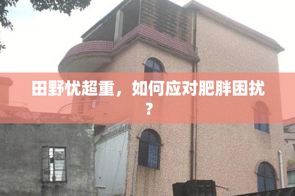 田野忧超重，如何应对肥胖困扰？