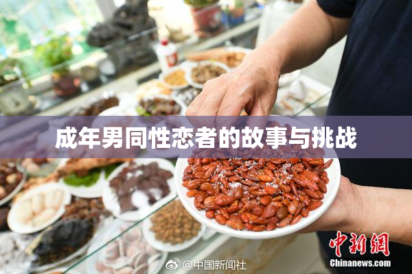 成年男同性恋者的故事与挑战