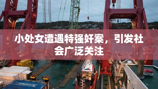 小处女遭遇特强奸案，引发社会广泛关注