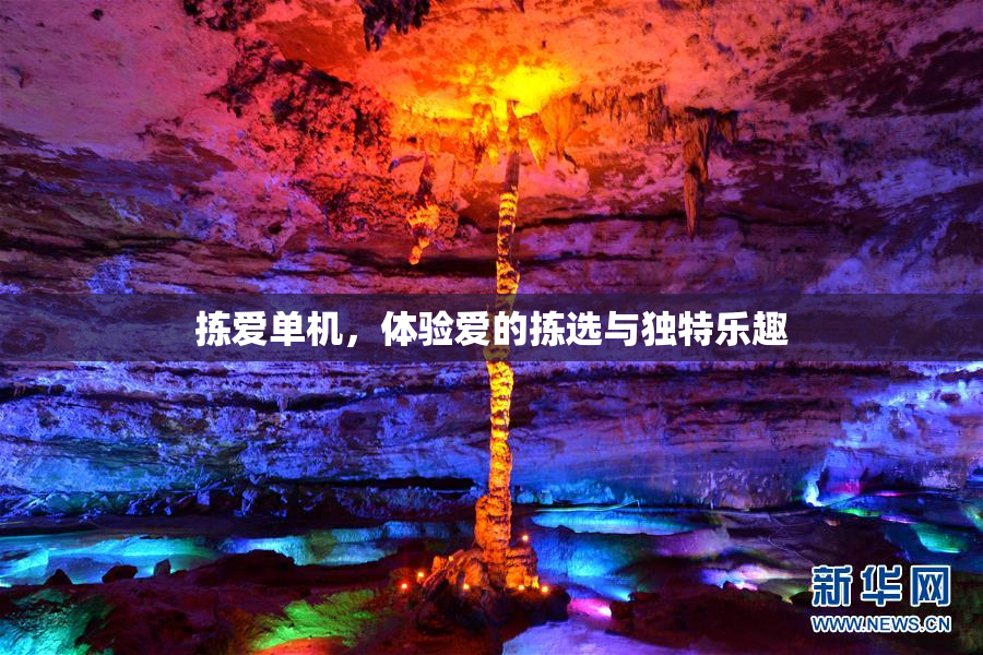 拣爱单机，体验爱的拣选与独特乐趣