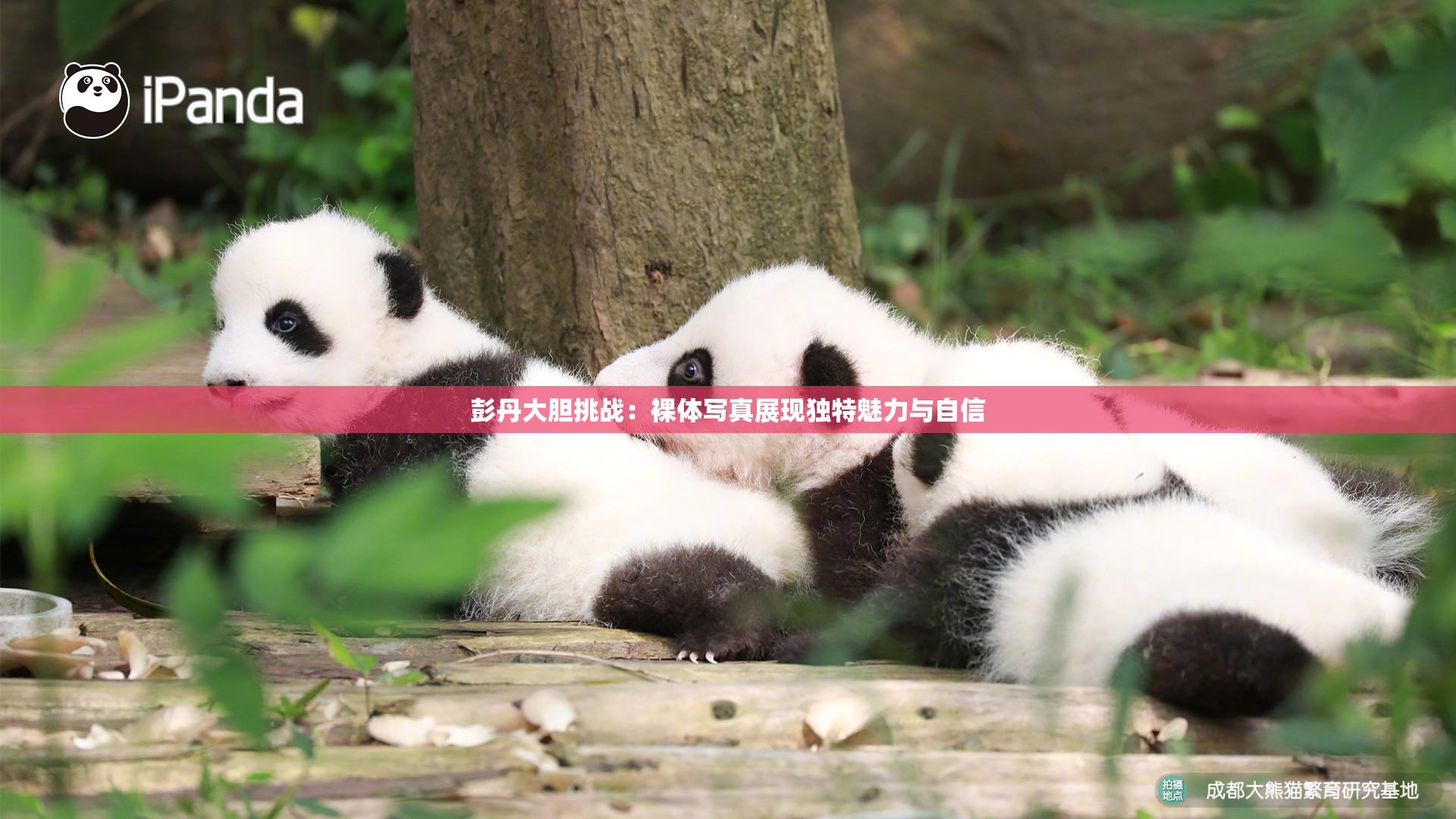 彭丹大胆挑战：裸体写真展现独特魅力与自信