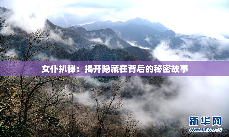 女仆扒秘：揭开隐藏在背后的秘密故事