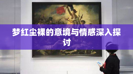 梦红尘裸的意境与情感深入探讨