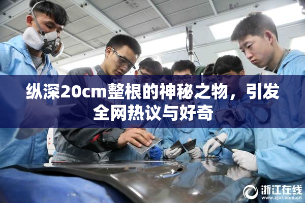 纵深20cm整根的神秘之物，引发全网热议与好奇