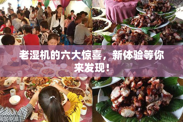 老湿机的六大惊喜，新体验等你来发现！