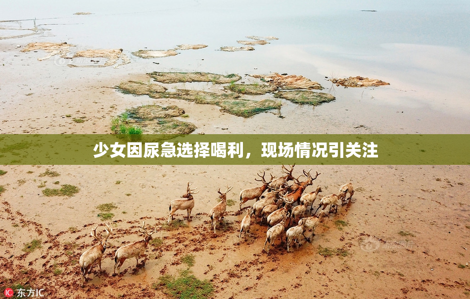 少女因尿急选择喝利，现场情况引关注