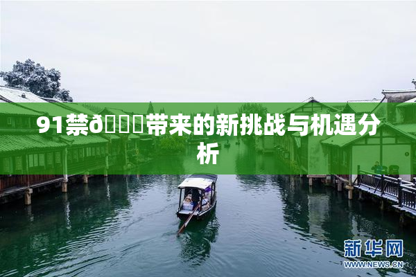 91禁🍆带来的新挑战与机遇分析