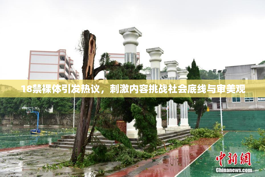 18禁裸体引发热议，刺激内容挑战社会底线与审美观