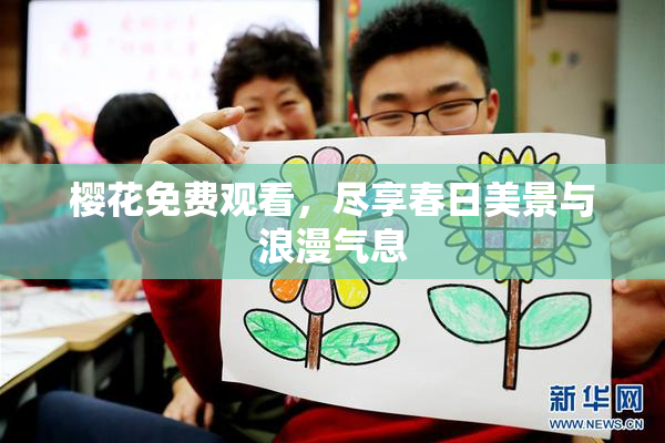 樱花免费观看，尽享春日美景与浪漫气息