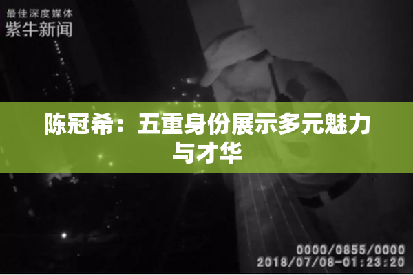 陈冠希：五重身份展示多元魅力与才华