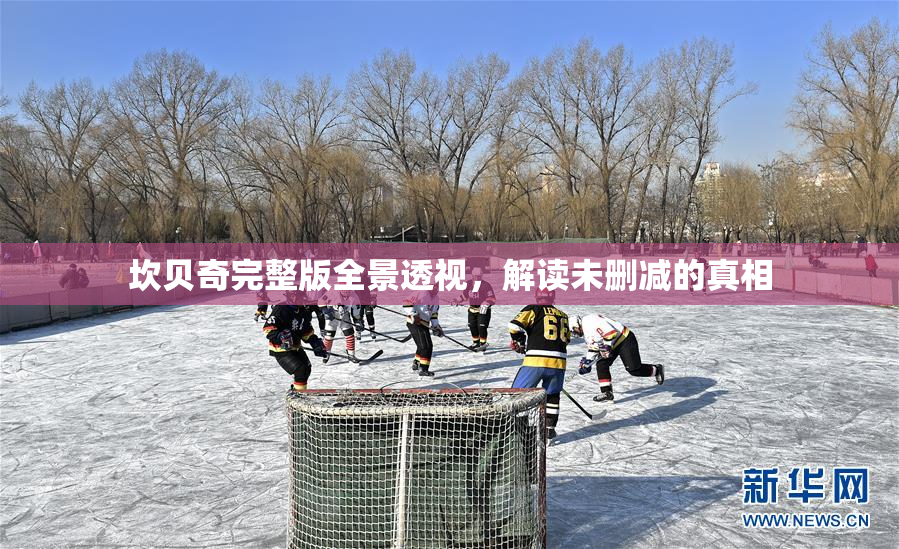 坎贝奇完整版全景透视，解读未删减的真相