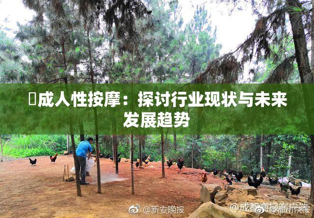 巜成人性按摩：探讨行业现状与未来发展趋势