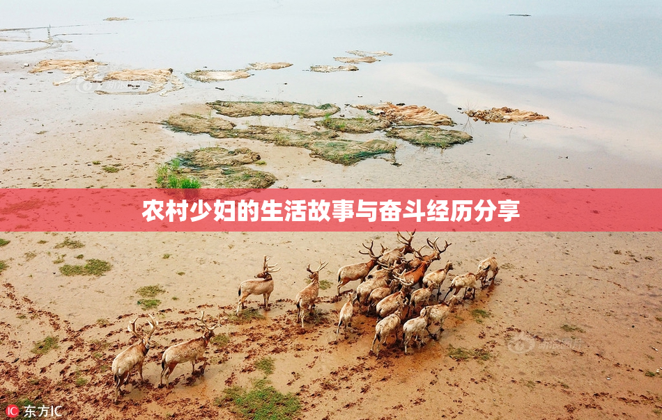 农村少妇的生活故事与奋斗经历分享