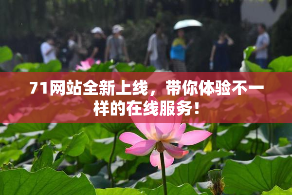71网站全新上线，带你体验不一样的在线服务！