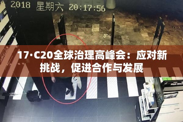 17·C20全球治理高峰会：应对新挑战，促进合作与发展
