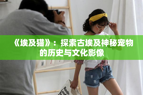 《埃及猫》：探索古埃及神秘宠物的历史与文化影像