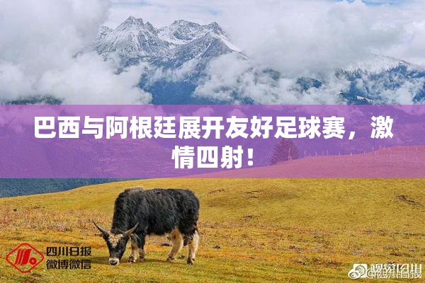 巴西与阿根廷展开友好足球赛，激情四射！