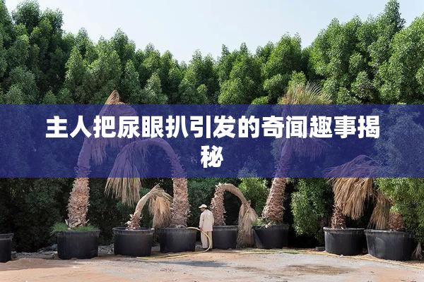 主人把尿眼扒引发的奇闻趣事揭秘