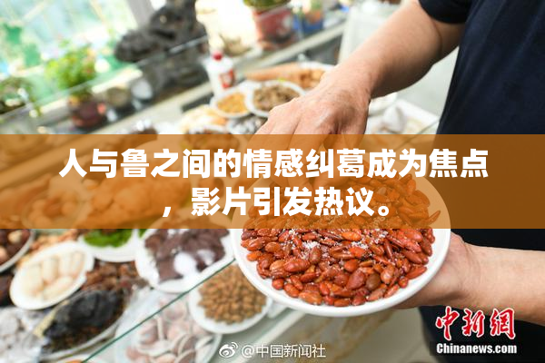人与鲁之间的情感纠葛成为焦点，影片引发热议。
