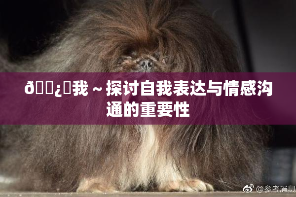 🌿‌我～探讨自我表达与情感沟通的重要性