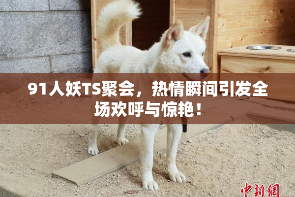 91人妖TS聚会，热情瞬间引发全场欢呼与惊艳！