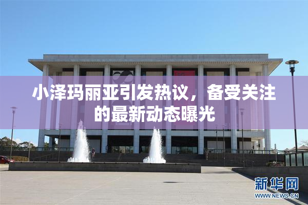 小泽玛丽亚引发热议，备受关注的最新动态曝光