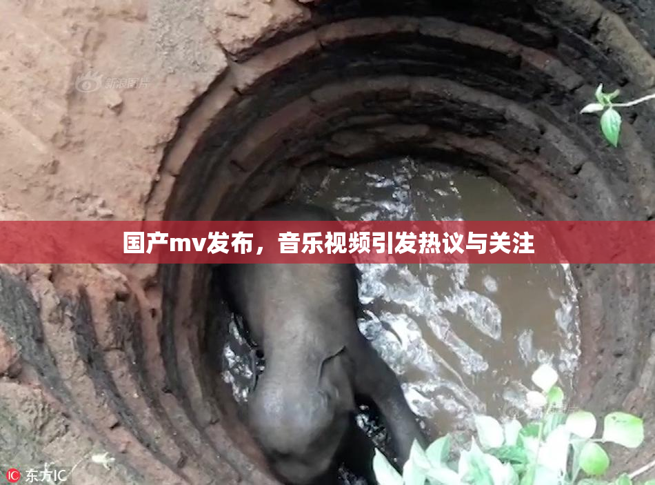 国产mv发布，音乐视频引发热议与关注