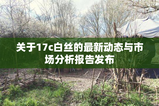 关于17c白丝的最新动态与市场分析报告发布