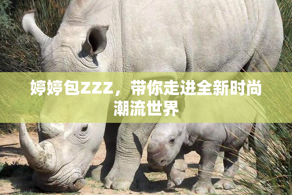 婷婷包ZZZ，带你走进全新时尚潮流世界