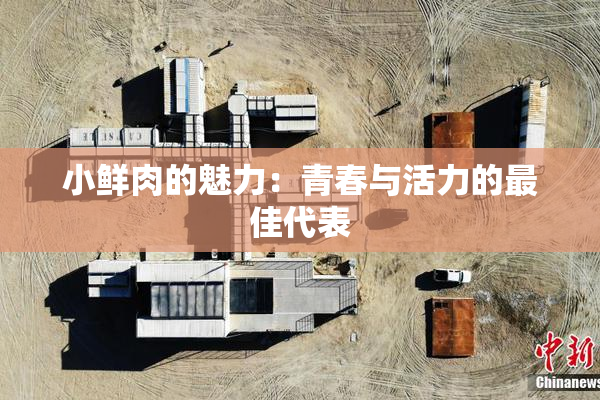 小鲜肉的魅力：青春与活力的最佳代表