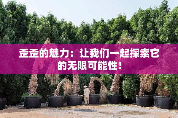 歪歪的魅力：让我们一起探索它的无限可能性！