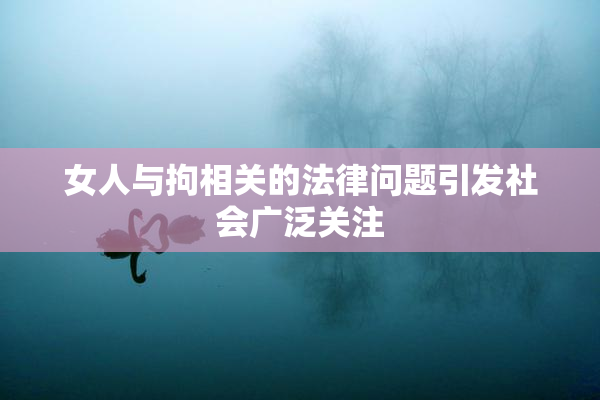 女人与拘相关的法律问题引发社会广泛关注