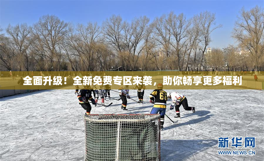 全面升级！全新免费专区来袭，助你畅享更多福利