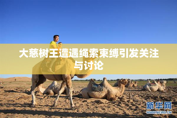 大慈树王遭遇绳索束缚引发关注与讨论