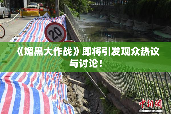 《媚黑大作战》即将引发观众热议与讨论！