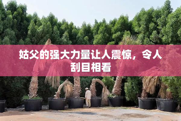 姑父的强大力量让人震惊，令人刮目相看