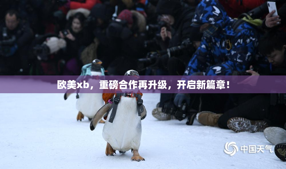 欧美xb，重磅合作再升级，开启新篇章！