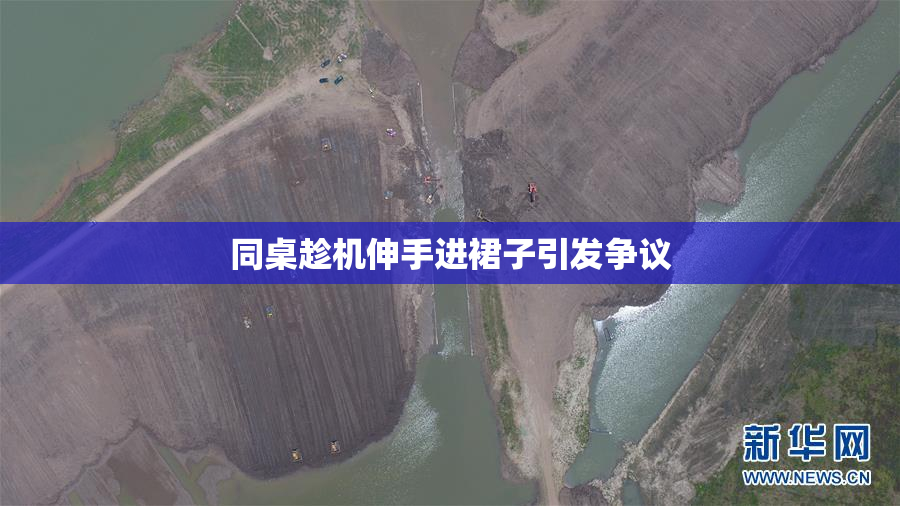同桌趁机伸手进裙子引发争议