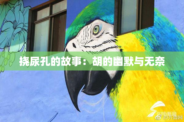 挠尿孔的故事：胡的幽默与无奈