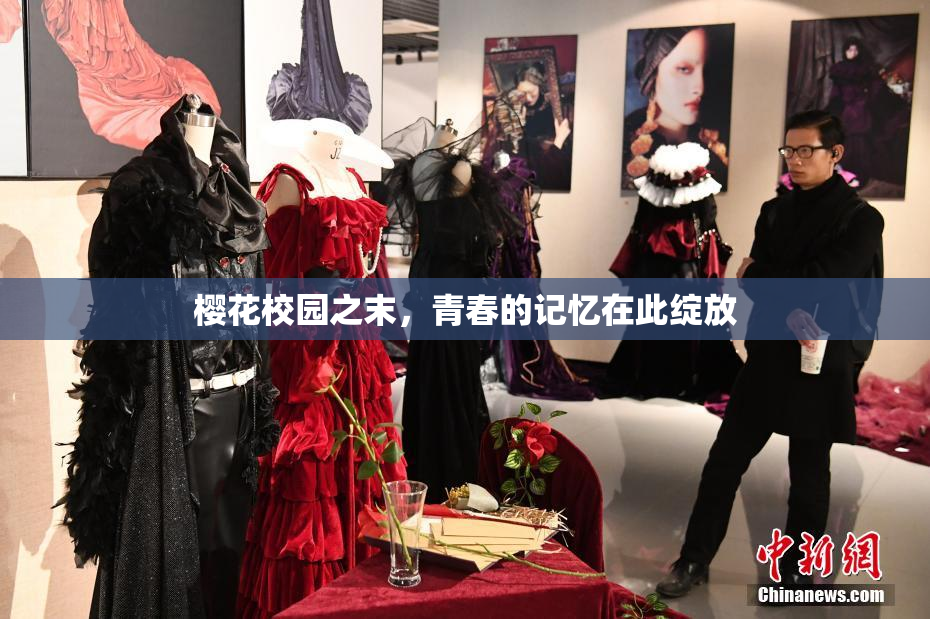 樱花校园之末，青春的记忆在此绽放