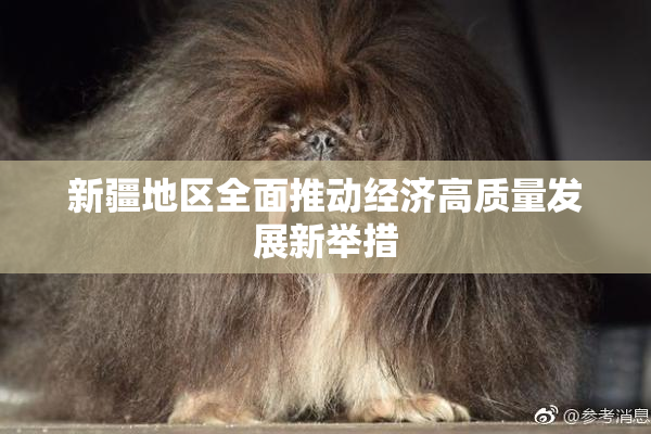 新疆地区全面推动经济高质量发展新举措