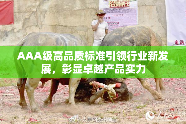 AAA级高品质标准引领行业新发展，彰显卓越产品实力