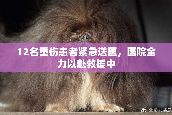12名重伤患者紧急送医，医院全力以赴救援中