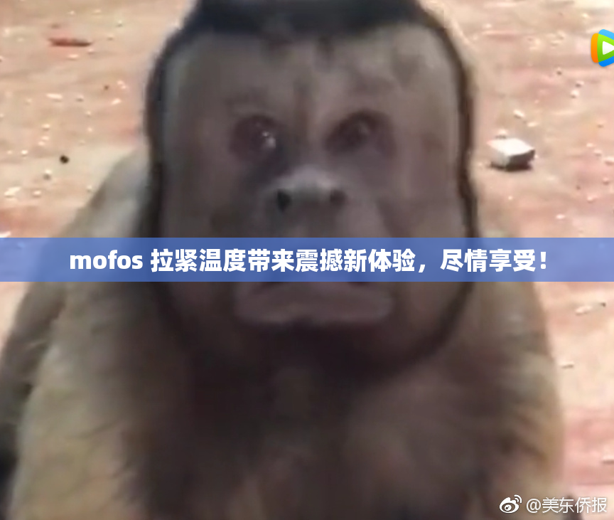 mofos 拉紧温度带来震撼新体验，尽情享受！