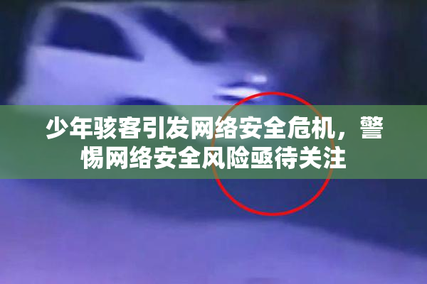 少年骇客引发网络安全危机，警惕网络安全风险亟待关注