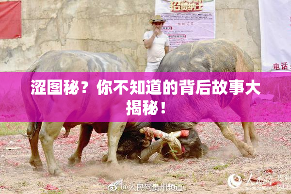 涩图秘？你不知道的背后故事大揭秘！