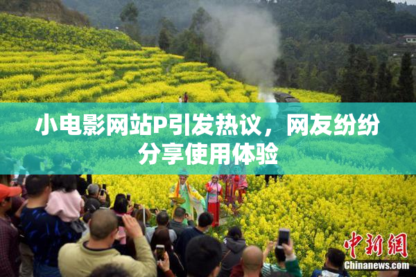 小电影网站P引发热议，网友纷纷分享使用体验
