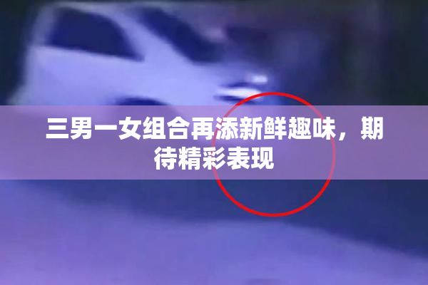 三男一女组合再添新鲜趣味，期待精彩表现